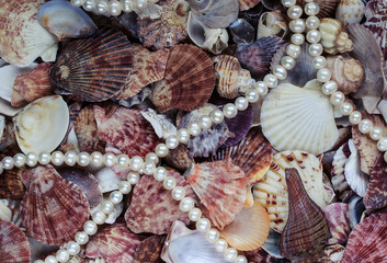 natural background from many shells of different shapes and colors of beads and white pearls