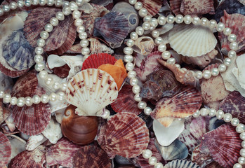 natural beautiful sea background from many shells of different shapes and colors of beads and  pearls