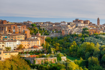 Fototapeta premium Siena. View of the old town.