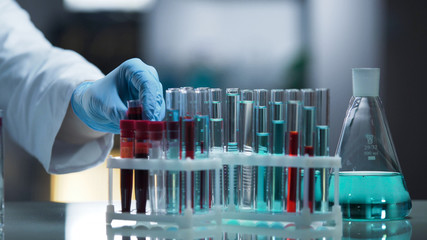 Laboratory working surface occupied by test tubes and flasks, research process