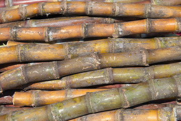 Close up background of stack of many sugarcane.