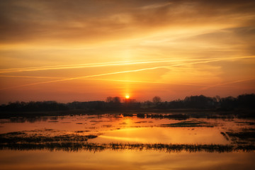 Poranek nad Narwią