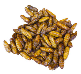 Fried silkworm pupa on a white background with clpping path