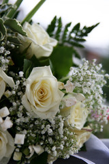 macro of white roses bouquet