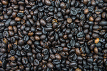Many roasted coffee beans are ingredient of cappucino, espresso, mocha for awake in the morning