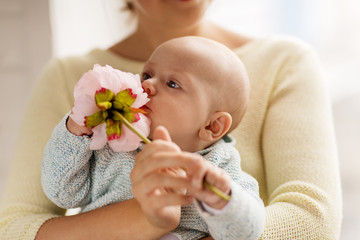 close up of mother and little baby boy with flower