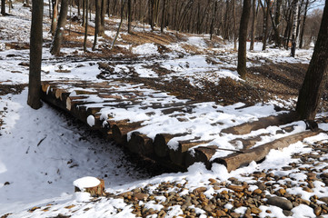 A small log bridge in the city park in early spring