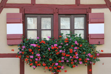 Fototapeta na wymiar Windows with flower