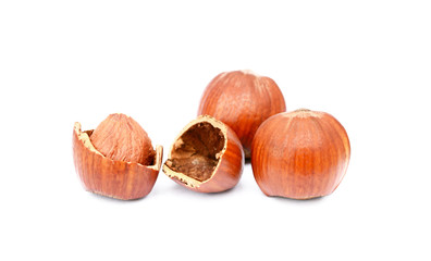 Group fresh hazelnuts isolated on white background