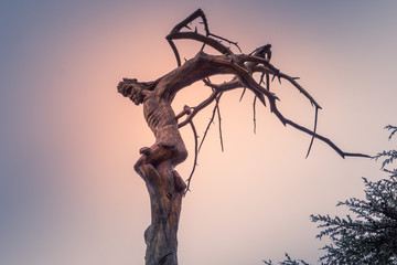 Christ crucifixion carved into a tree in Lebanon
