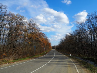 Road through the autumn forest on a nice day.