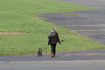 women walking with dog alone in the park 