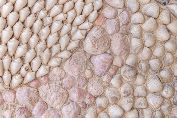 Sea snail and sea shell like background decoration in cement house wall