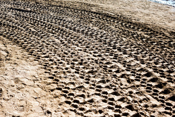 Track of truck wheels on sand 