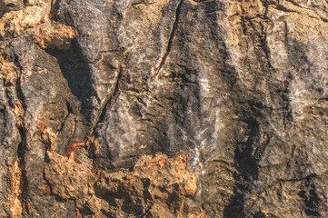 Sea stone natural surface abstract close bright texture wallpaper