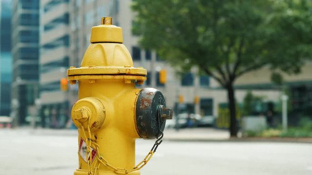 Yellow fire hydrant. In the background, the blurred busy Toronto street
