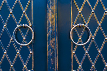 magnificent wrought-iron gates, ornamental forging, forged elements close-up