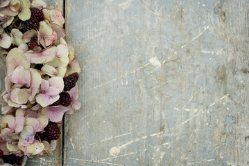 background: garland made of ortensia flowers (Hydrangea) and wild blackberries fruit, colorful,...
