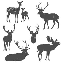 Vector set of deer silhouettes in different poses