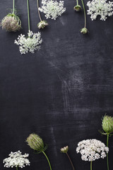 Summer flowers in a row on blackboard, top view