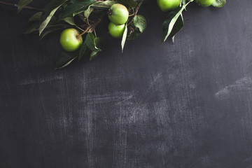 Apples with leaves on top of blackboard background
