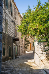 Fototapeta premium das wunderschöne Dorf Betina auf der Insel Murter, Kroatien