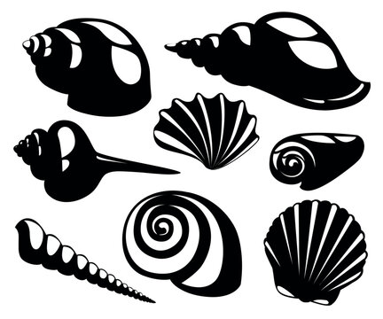 Vector sea shells and pearl seashell silhouettes isolated on white background