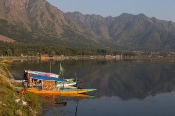 Naklejka premium The Dal lake and the shikaras - Srinagar, Kashmir, India