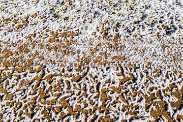 Texture is a print of tire on icy dirt road. Forest road after threat of cold weather and snow. The background of the snow surface. 