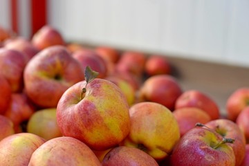 Tasty fresh red apples at grocery store.Buy & eat natural vitamin food.Farmer market department in food shop.Box of fruits on sale in fridge.Ripe red apples & oranges at food aisle in food department