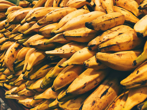 cooking Bananas - Plantains