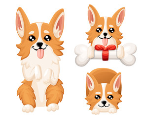 Vector illustration of cute dog Welsh Corgi. Nice puppy for greeting card, pet shop or veterinary clinics. Dog Welsh Corgi standing Web site page and mobile app design element