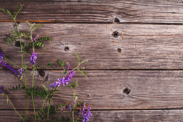 Fototapeta premium Violet summer flowers on wooden background, flat lay