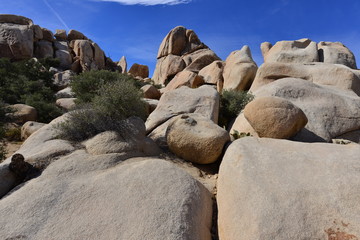 A Rocky Landscape at the Joshua tree national park.