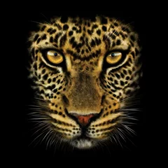 Foto op Plexiglas hand-drawing portrait of a leopard © DanIce