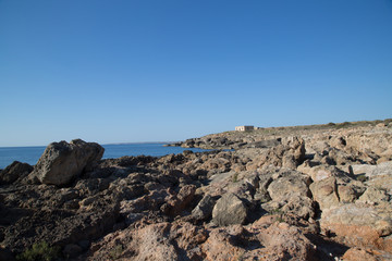 Scogliera, Riserva naturale orientata Oasi faunistica di Vendicari, primavera 