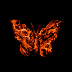 Burning butterfly