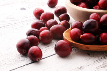 Harvest fresh red cranberries in wooden basket. Autumn concept.