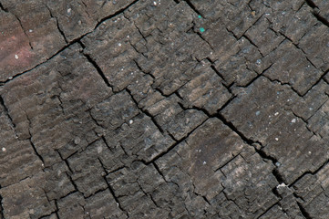  Front view of dark grey  old timber texture or background. Copy space. Place for text. graphical resource