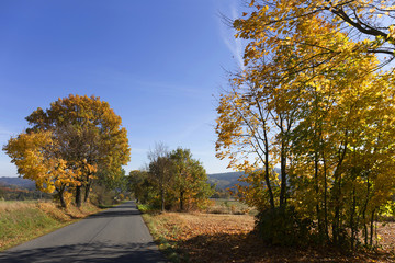 Colorful autumn country Landscape in central Bohemia, Czech Republic
