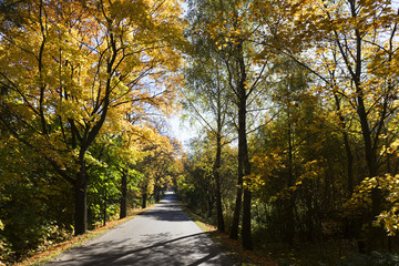 Fototapeta na wymiar Colorful autumn country Landscape in central Bohemia, Czech Republic