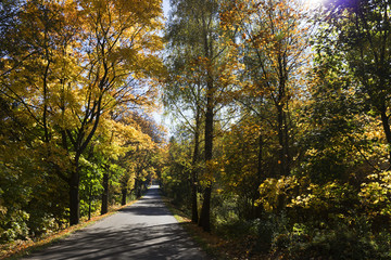 Colorful autumn country Landscape in central Bohemia, Czech Republic