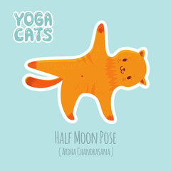 Sticker with cute cat practicing yoga - 182098746