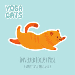 Sticker with cute cat practicing yoga - 182098755