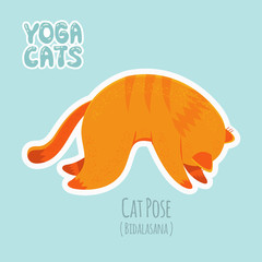 Sticker with cute cat practicing yoga - 182098790