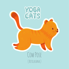 Sticker with cute cat practicing yoga - 182098797