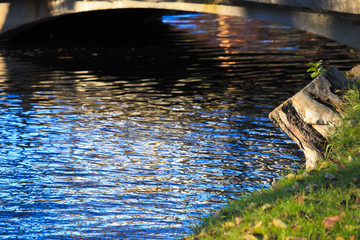Strain with the new gender on the banks of the pond.