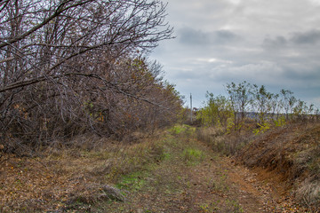 Autumn in the Tavri steppe