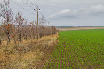 Obraz premium Autumn in the Tavri steppe