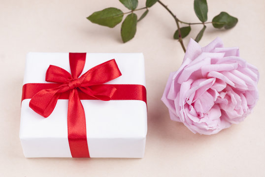 gift and rose